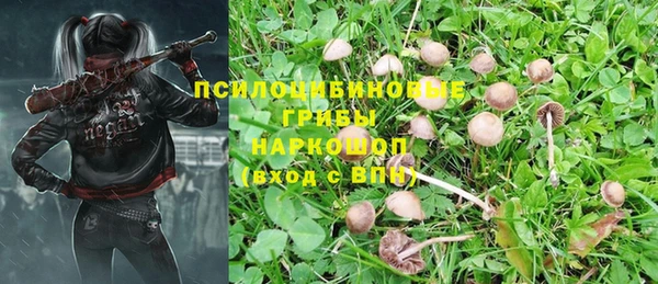 экстази Баксан